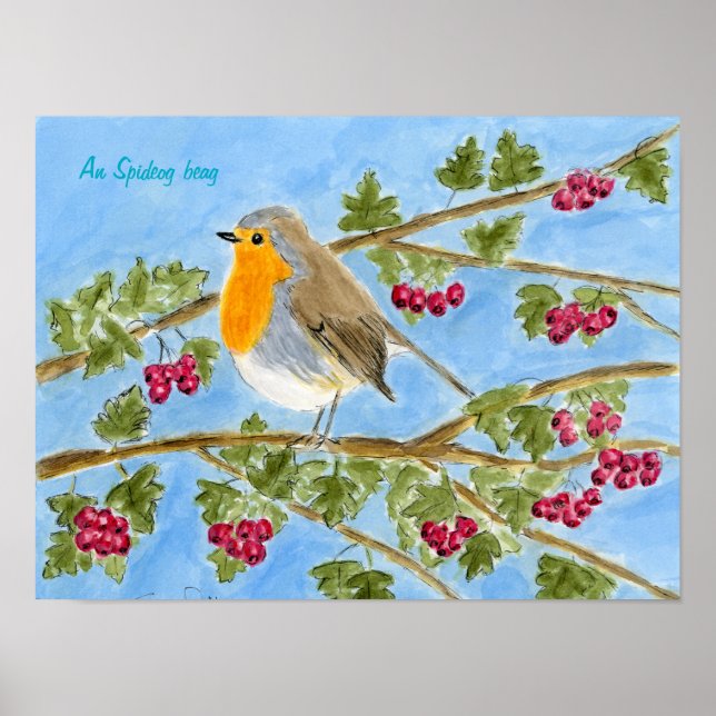 An Spideog beag Poster (Front)