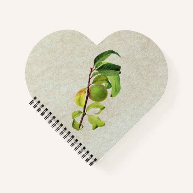 An Unripe Peach Personalized Composition Notebook (Front)