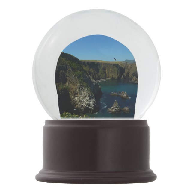 Anacapa Island at Channel Islands National Park Snow Globe (Front)