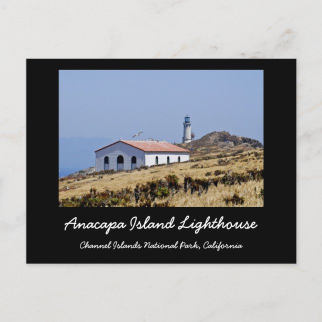 Anacapa Island Lighthouse Postcard (Front)