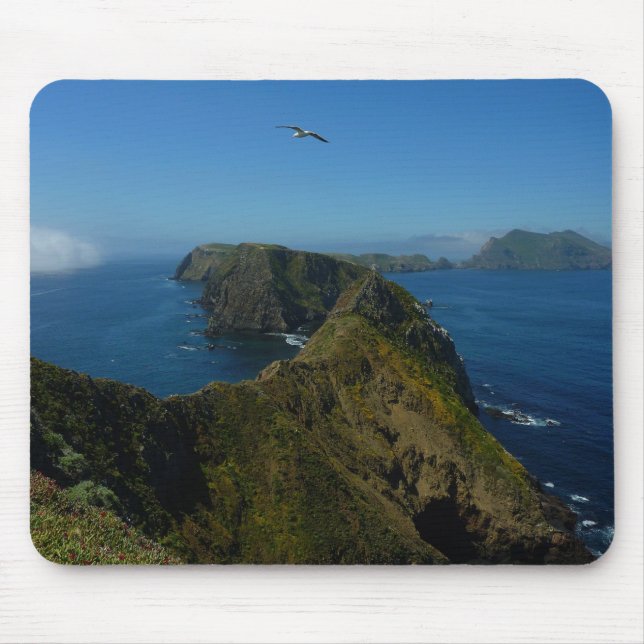 Anacapa's Inspiration Point I in Channel Islands Mouse Pad (Front)