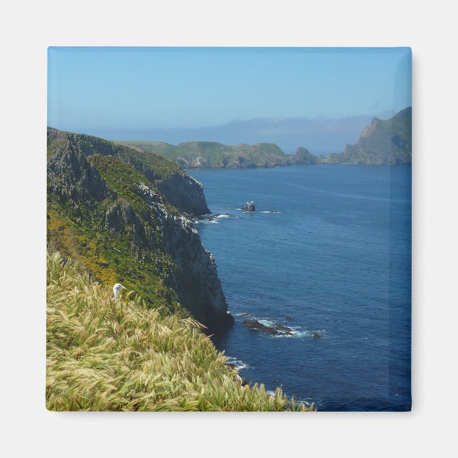 Anacapa's Inspiration Point II at Channel Islands Magnet (Front)