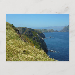 Anacapa's Inspiration Point II at Channel Islands Postcard