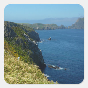 Anacapa's Inspiration Point II at Channel Islands Square Sticker
