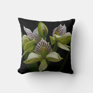 Anacheilium Chacoense Throw Pillow