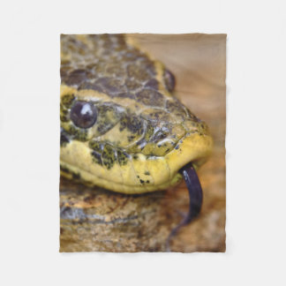 Anaconda head fleece blanket