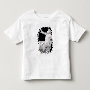 Anacreon, 1851 toddler t-shirt