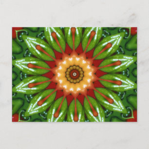 Anaheim Peppers Postcard