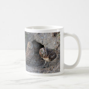 Anaholus owl coffee mug