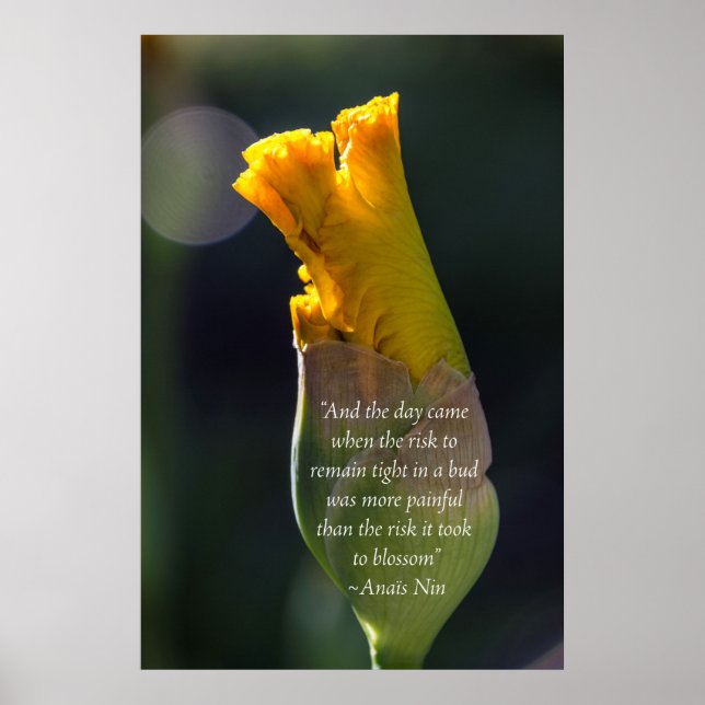Anais Nin Citation Inspiration Poster (Devant)