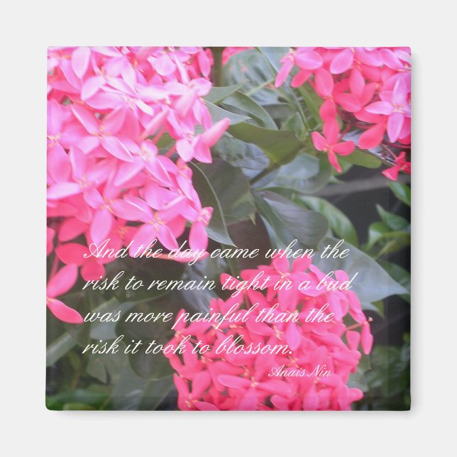 Anais Nin Motivational Citation Magnet (Devant)
