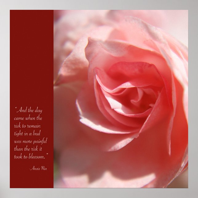Anais Nin Quote Poster in Pink (Front)