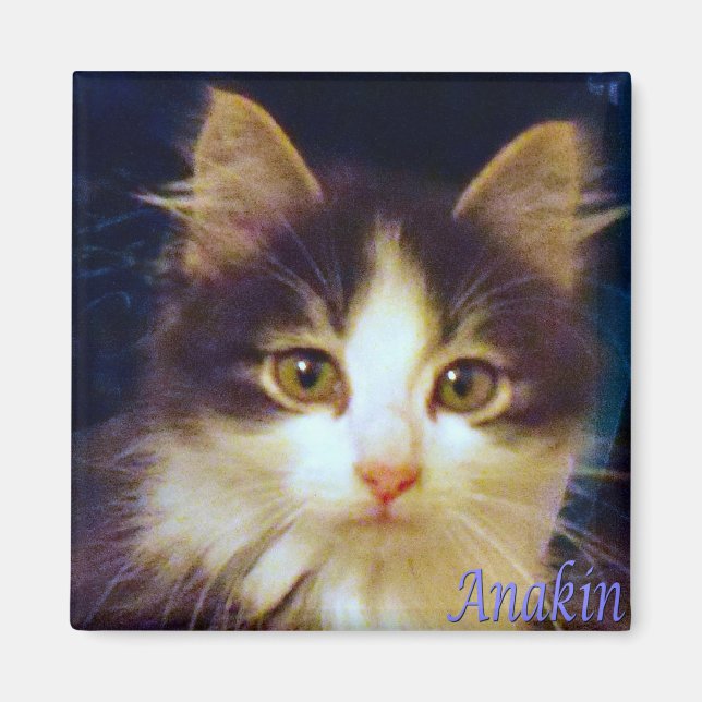 Anakin Chat à deux pattes, Magnet Carré Cute Kitte (Devant)