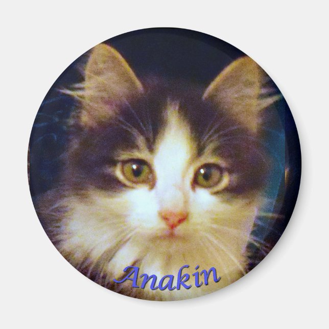 Anakin Chat à deux pattes, Magnet rond Cute Kitten (Devant)