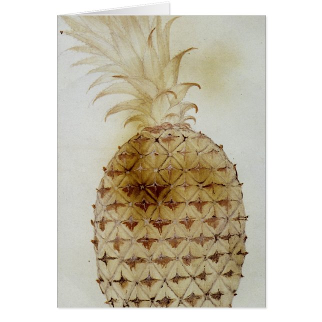 Ananas (Devant)