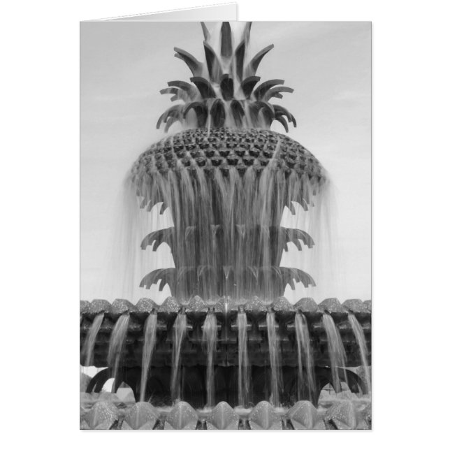 Ananas apaisant (Devant)