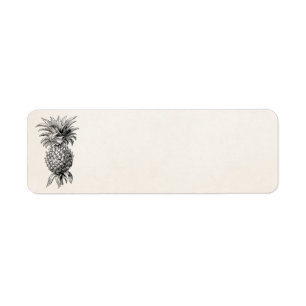 Ananas vintages d'illustration d'ananas de 1800s