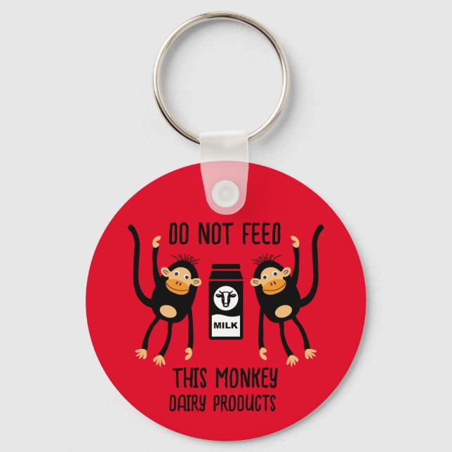 Anaphylaxis Kids Allergic Warnings Keychain (Front)
