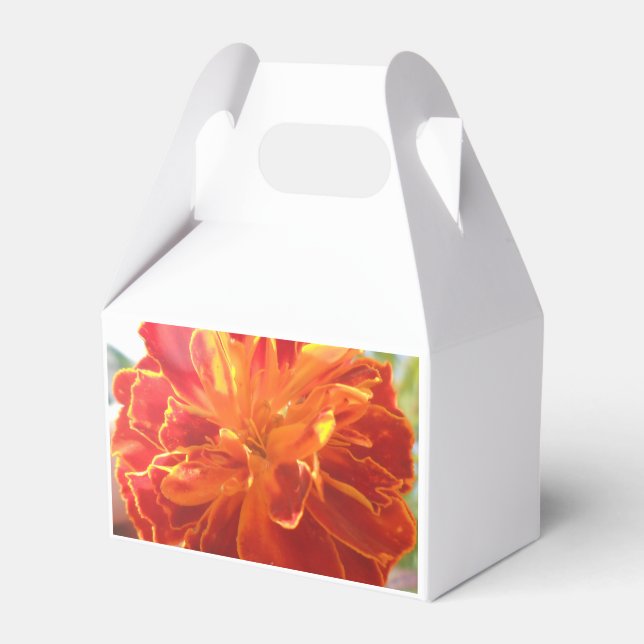 Anastaise Favor Box (Front Side)