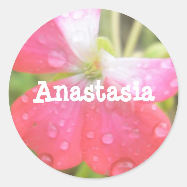 Anastasia filles nom amaryllis autocollants (Devant)