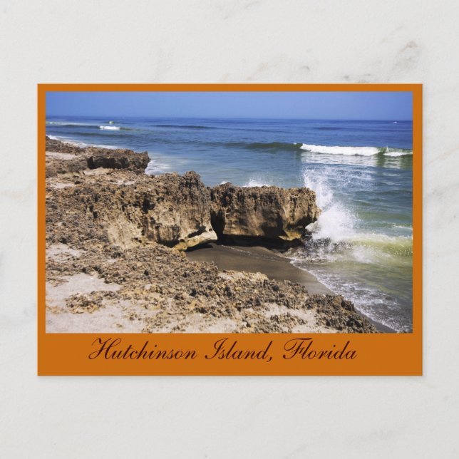 Anastasia Formation, Hutchinson Island, Florida Postcard (Front)