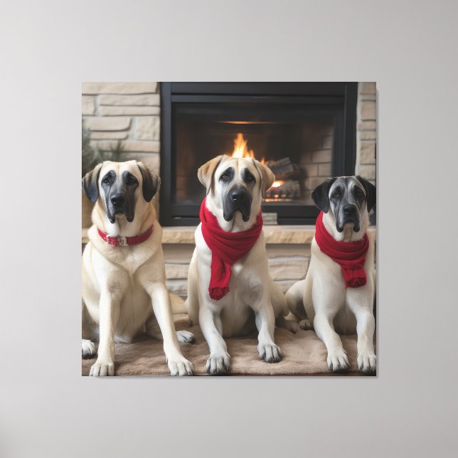 Anatolian Shepherd  by the Fireplace Christmas Canvas Print (Front)