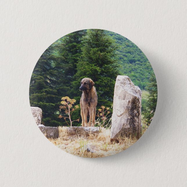 Anatolian Shepherd Dog -  Ephesus, Turkey 2 Inch Round Button (Front)