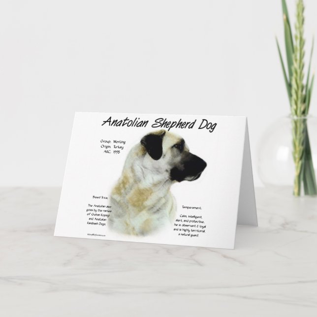 Anatolian Shepherd Dog History  Holiday Card (Front)