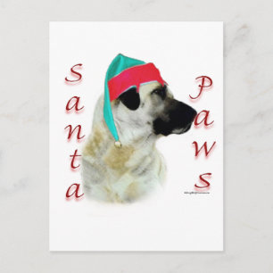 Anatolian Shepherd Dog Santa Paws Holiday Postcard