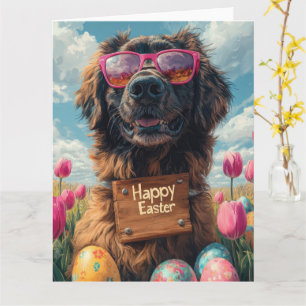 Anatolian Shepherd Easter Eggs  Card