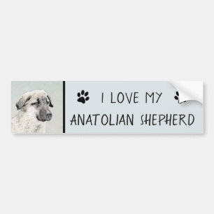 Anatolian Shepherd Painting - Original Dog Art Bumper Sticker