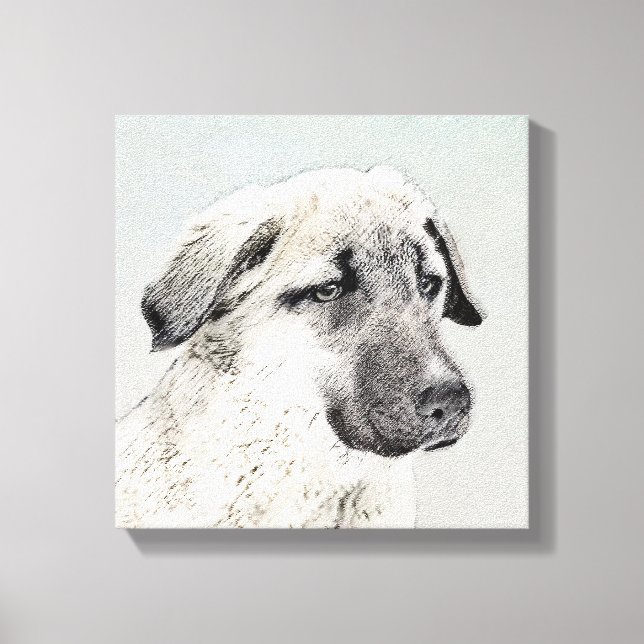 Anatolian Shepherd Painting - Original Dog Art Canvas Print (Front)