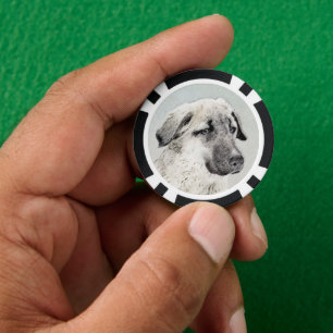 Anatolian Shepherd Painting - Original Dog Art Poker Chips