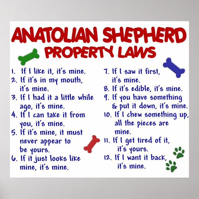 ANATOLIAN SHEPHERD PL2 POSTER (Front)