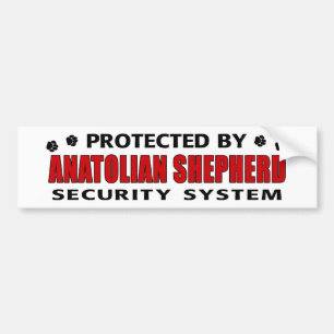 Anatolian Shepherd Security Bumper Sticker