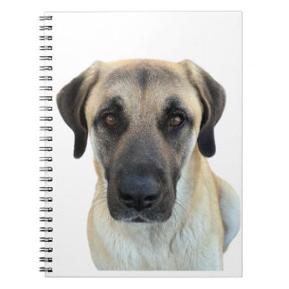 Anatolian Shepherd Spiral Notebook Planner