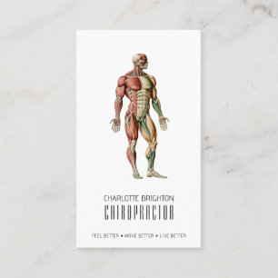 Anatomical Body Chiropractor Appointment & Business Card