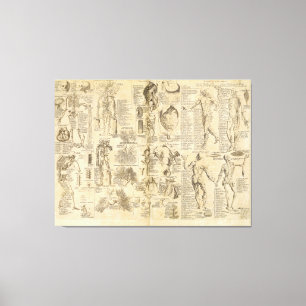 Anatomical Chart from Cyclopaedia 1728 Canvas Print