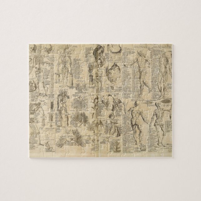 Anatomical Chart from Cyclopaedia 1728 Jigsaw Puzzle (Horizontal)