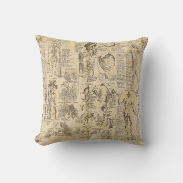 Anatomical Chart from Cyclopaedia 1728 Throw Pillow (Front)