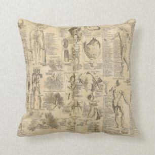 Anatomical Chart from Cyclopaedia 1728 Throw Pillow