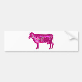 Anatomical Cute Cow Bumper Sticker
