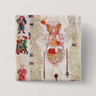 Anatomical diagram 2 inch square button