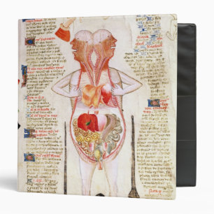 Anatomical diagram binder