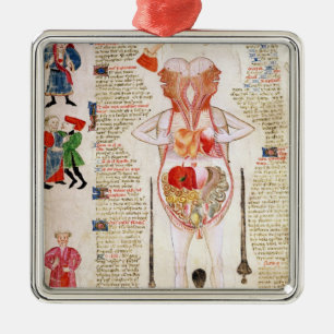 Anatomical diagram metal ornament