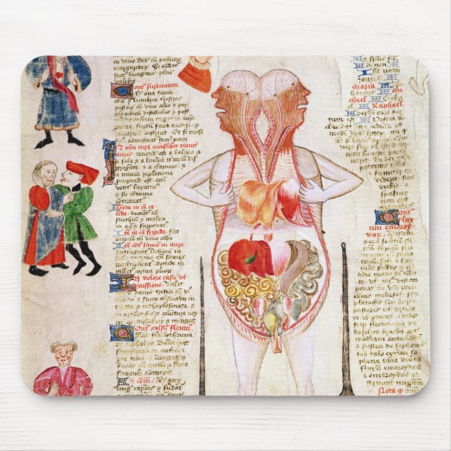 Anatomical diagram mouse pad (Front)