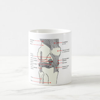 Anatomical Diagram of a Human Right Knee Joint Coffee Mug
