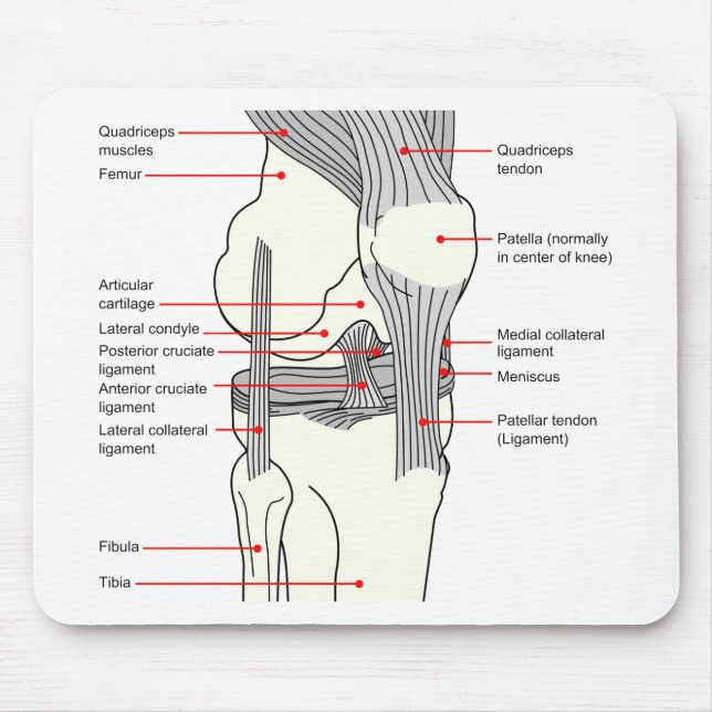 Anatomical Diagram of a Human Right Knee Joint Mouse Pad (Front)
