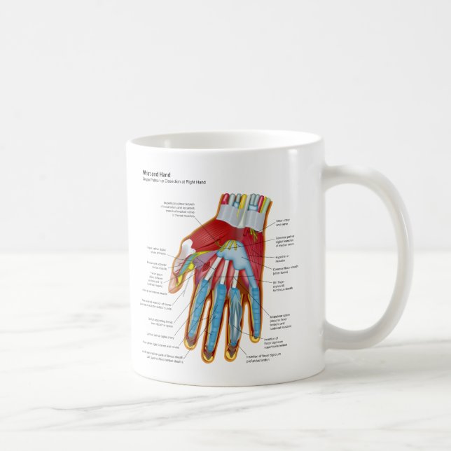 Anatomical Diagram of the Human Hand and Wrist Coffee Mug (Right)