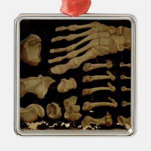 Anatomical drawing of the bones of the foot metal ornament